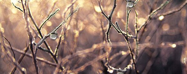 Latvijai tuvojas sals Latvijai tuvojas sals - Sputnik Latvija