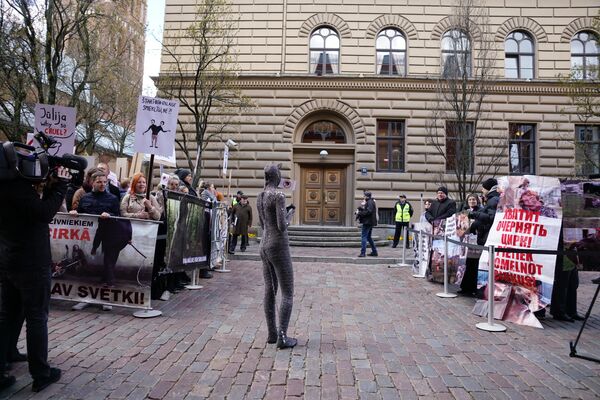 Пикеты против использования животных в цирке (слева) и за традицонный цирк (справа) - Sputnik Латвия