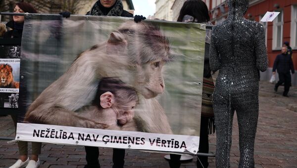 Пикет защитников животных - Sputnik Латвия
