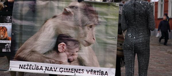 Пикет защитников животных - Sputnik Латвия