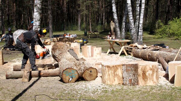 Международный фестиваль деревянных скульптур в Межапарке - Sputnik Латвия