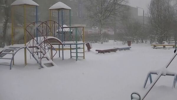 Майский снегопад в Карелии - Sputnik Латвия