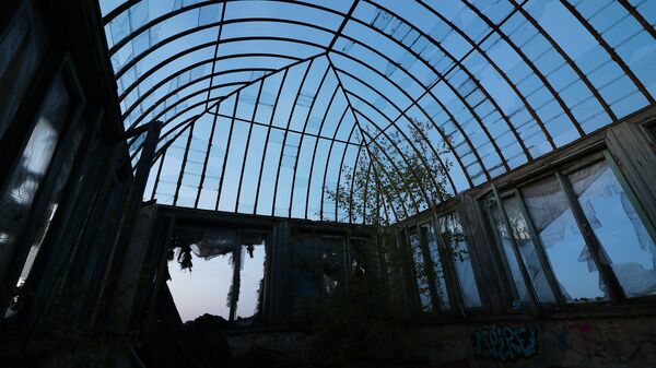 Деревья на террасе заброшенной больницы на улице Эзермалас в Межапарке - Sputnik Латвия