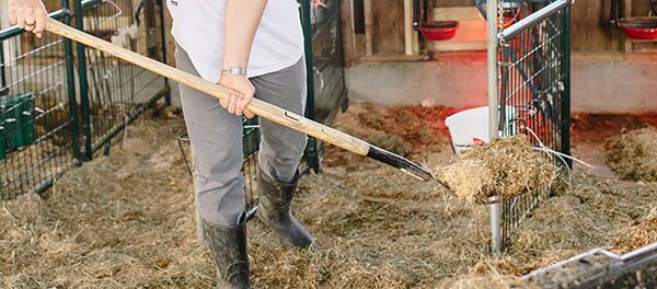 Летняя работа - Sputnik Латвия