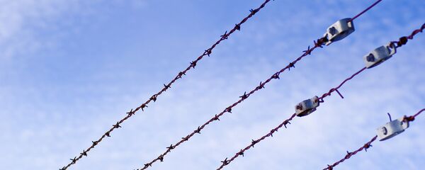 Колючая проволока - Sputnik Латвия
