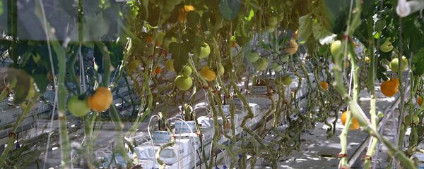 Getliņi Getliņi - Sputnik Latvija