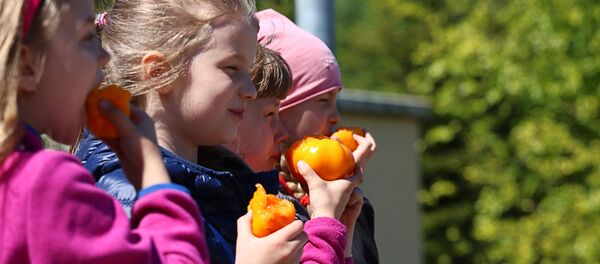 Томатное удовольствие - Sputnik Латвия