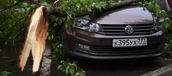 Последствия урагана в Москве - Sputnik Латвия