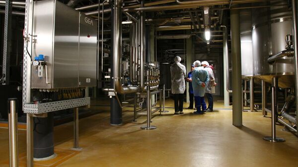 В объятии стальных труб - Sputnik Латвия