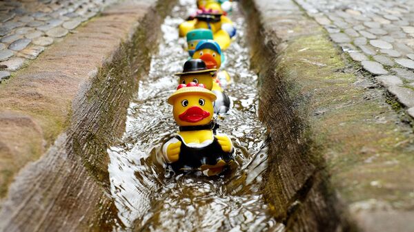 Резиновые утята Резиновые утята - Sputnik Латвия