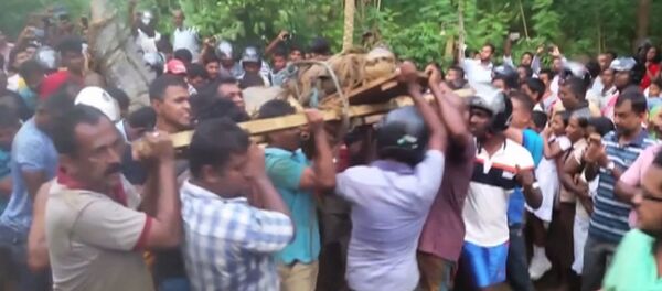 Жители деревни в Шри-Ланке поймали и связали пятиметрового крокодила Жители деревни в Шри-Ланке поймали и связали пятиметрового крокодила - Sputnik Латвия