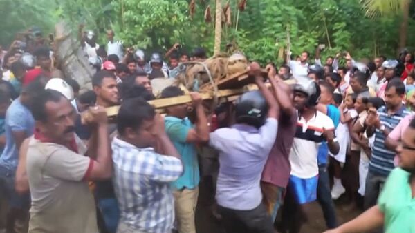 Жители деревни в Шри-Ланке поймали и связали пятиметрового крокодила - Sputnik Latvija