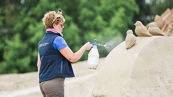 Международный фестиваль песчаных скульптур Summer Signs в Елгаве, архивное фото - Sputnik Латвия