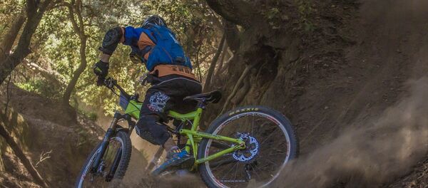 Велотрасса в лесу, архивное фото - Sputnik Латвия