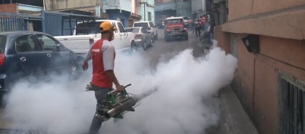 Окуривание дымом домов в Каракасе из-за вируса Зика и комментарий эксперта ВОЗ - Sputnik Латвия