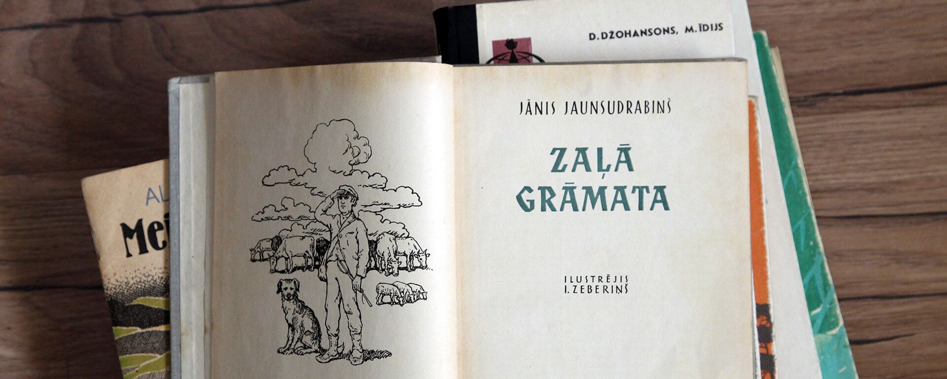 Книги на латышском языке - Sputnik Латвия, 1920, 20.11.2025