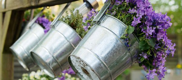 Цветы на террасе Цветы на террасе - Sputnik Latvija