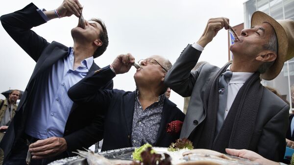 Голландский политик Народная партия за свободу и демократию Марк Рютте (слева), знаменитый повар Брахекке (C) и голландский министр образования, культуры и науки Рональд Пластерк наслаждаются маринованной сельдью - Sputnik Латвия