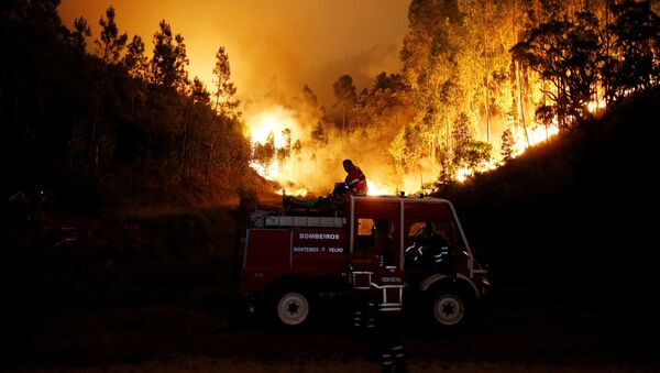 Пожарные тушат лесной пожар возле Буки в центральной Португалии - Sputnik Латвия