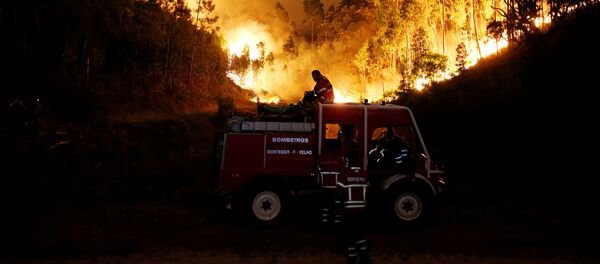 Пожарные тушат лесной пожар возле Буки в центральной Португалии Пожарные тушат лесной пожар возле Буки в центральной Португалии - Sputnik Латвия