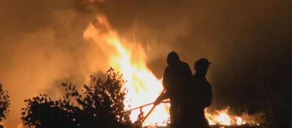 Пожары в Португалии - Sputnik Латвия