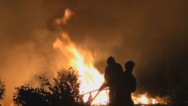 Meža ugunsgrēkos Portugālē cietuši vairāki desmiti cilvēku - Sputnik Latvija