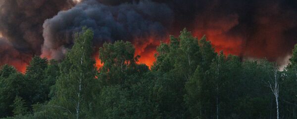 2017. gada 18. jūnijā nelegālajā plastmasas atkritumu izgāztuvē Slokas apkaimē Jūrmalā notika ugunsgrēks 2017. gada 18. jūnijā nelegālajā plastmasas atkritumu izgāztuvē Slokas apkaimē Jūrmalā notika ugunsgrēks - Sputnik Latvija