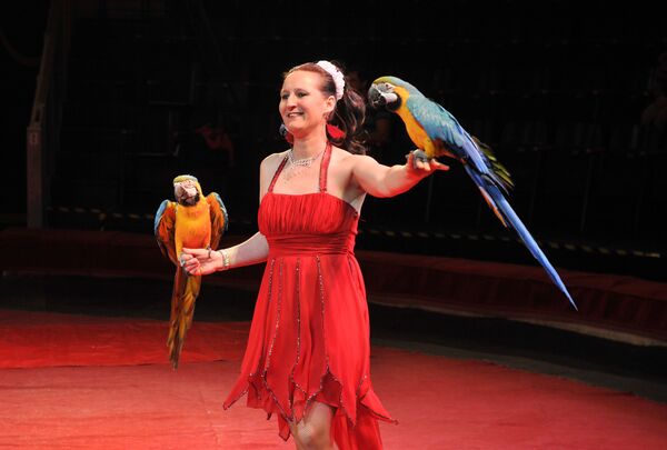 Рижский цирк Фантазия - Sputnik Латвия