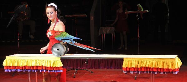 Рижский цирк Фантазия - Sputnik Латвия