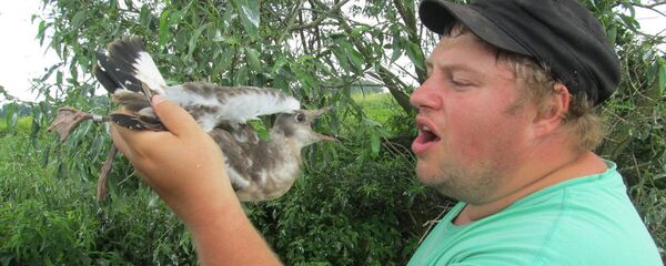 Орнитолог Латвийского музея природы Дмитрий Бойко - Sputnik Латвия