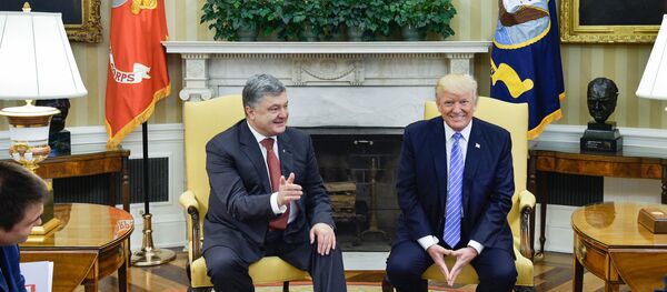 Президент Украины Петр Порошенко и президент США Дональд Трамп во время встречи 20 июня 2017 года Президент Украины Петр Порошенко и президент США Дональд Трамп во время встречи 20 июня 2017 года - Sputnik Latvija