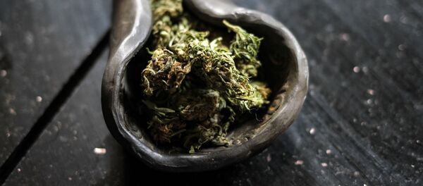 Травяные чаи - Sputnik Latvija