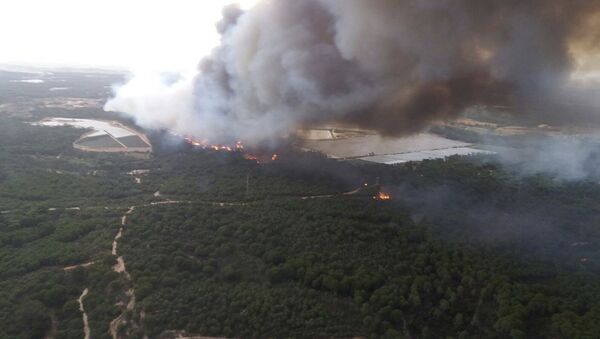 Лесной пожар на юге Испании привел к эвакуации 1000 человек - Sputnik Латвия