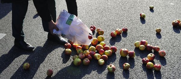Āboli - Sputnik Latvija