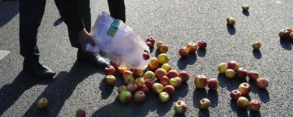 Āboli Āboli - Sputnik Latvija