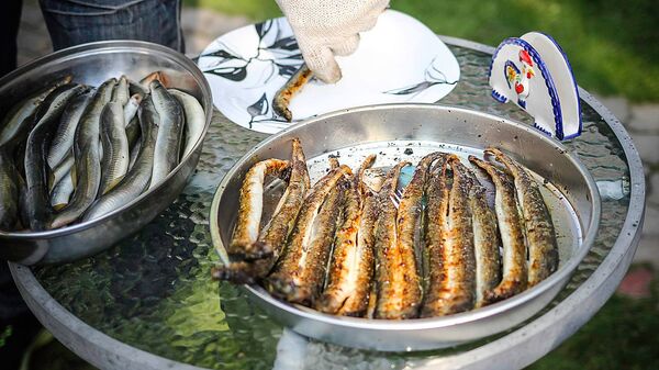 День моря, Царникава День моря, Царникава - Sputnik Латвия