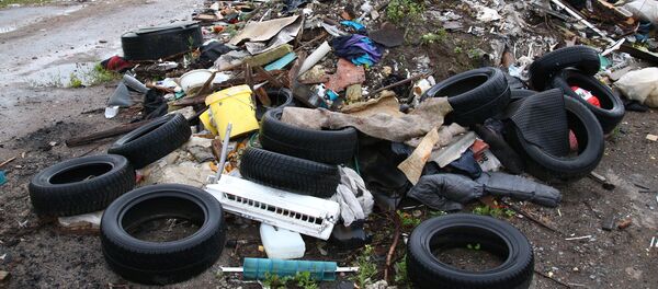 Свалка на месте бывшего Слокского Целлюлозно-бумажного комбината - Sputnik Латвия