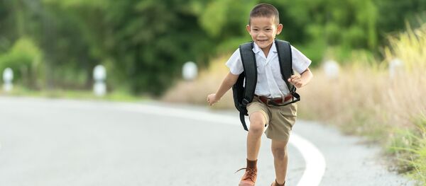 Skolnieks. Foto no arhīva Skolnieks. Foto no arhīva - Sputnik Latvija