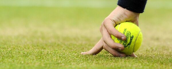 Теннис. Уимблдон - 2012. Четырнадцатый день - Sputnik Латвия