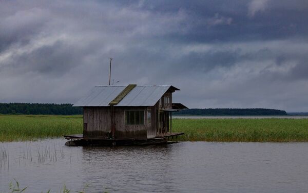 Pārziņu un putnu novērotāju namiņš pie Engures ezera - Sputnik Latvija