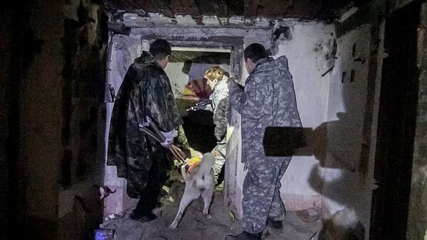 Поиски Вани Берладина - Sputnik Латвия