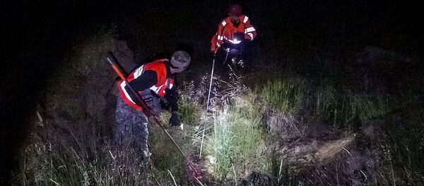 Поиски Вани Берладина - Sputnik Латвия