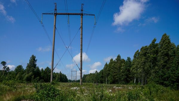 Piecsimt metru attālumā no šejienes meža masīvā tika atrasts mirušais Vaņa - Sputnik Latvija