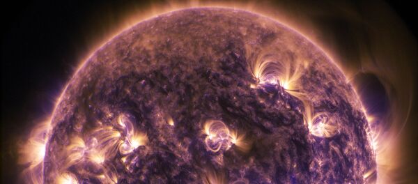 Saule. Foto no arhīva Saule. Foto no arhīva - Sputnik Latvija