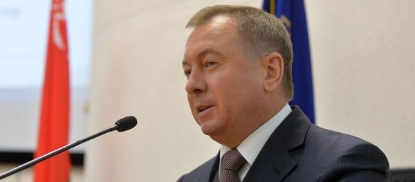 Владимир Макей на семинаре МИДа Владимир Макей на семинаре МИДа - Sputnik Latvija