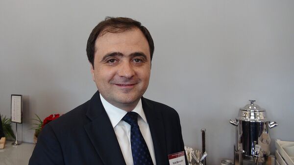 Президент фонда поощрения экспорта и инвестиций АЗПРОМО Руфат Маммадов Президент фонда поощрения экспорта и инвестиций АЗПРОМО Руфат Маммадов - Sputnik Латвия