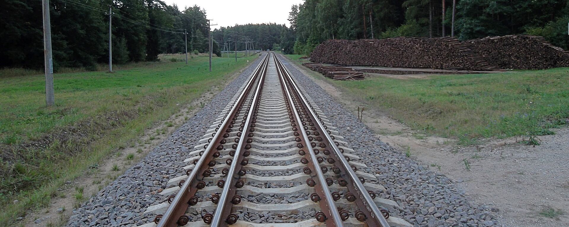 Rail Baltica  - Sputnik Латвия, 1920, 17.06.2020