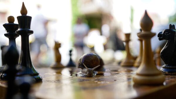 Улитка играет в шахматы - Sputnik Латвия