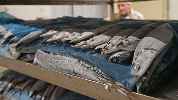 Завод по переработке рыбы - Sputnik Латвия