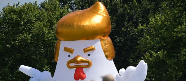 Гигантский надувной цыпленок с прической Трампа установлен у Белого дома Гигантский надувной цыпленок с прической Трампа установлен у Белого дома - Sputnik Latvija